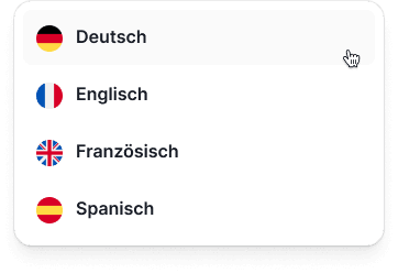 Language interface overlay